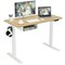 48 Electric Standing Desk Height Adjustable W/ Control Panel And Usb Port